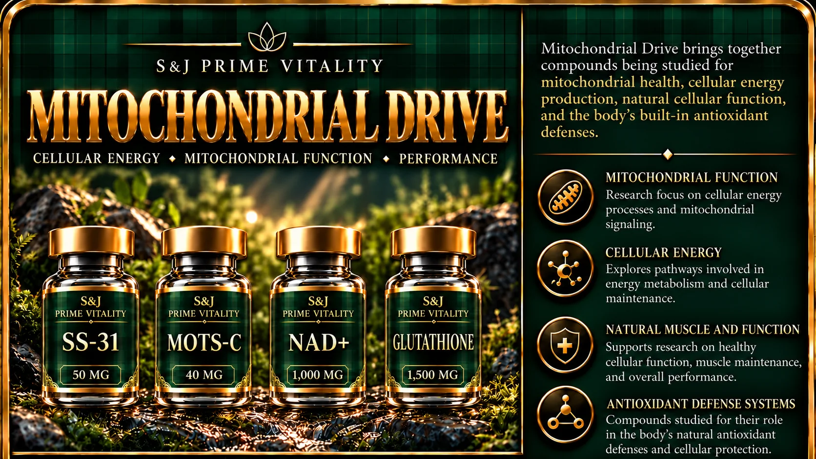 Mitochondrial Drive: SS-31 50 mg, MOTS-C 40 mg, NAD+ 1,000 mg and Glutathione 1,500 mg research vials
